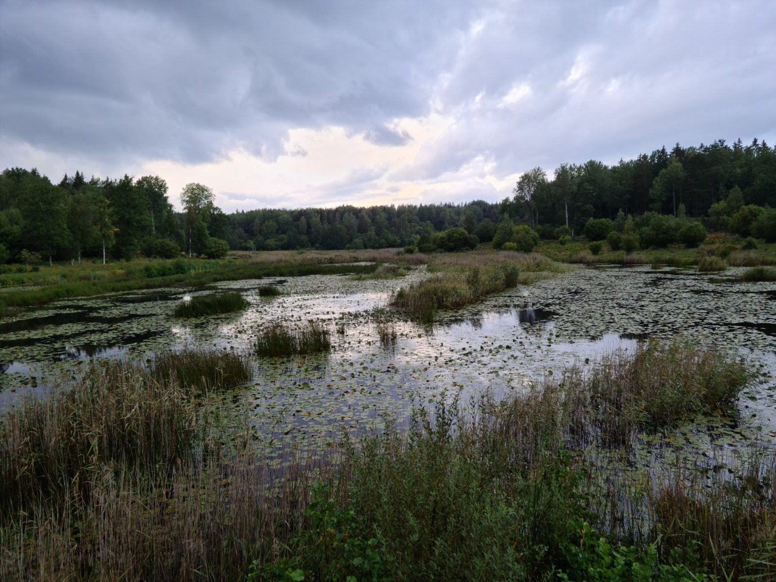 skyddad Våtmark